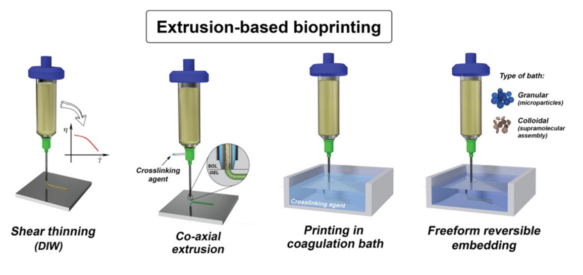 اکستروژن و چاپ زیستی مبتنی بر میکروسیال برای ساخت بافت‌ها و اندام‌های بیومیمتیک